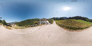 IMG_20260721_120349_00_merged-2