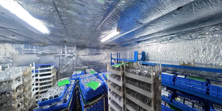 Standing Room