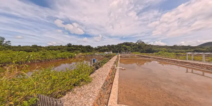 鹽田