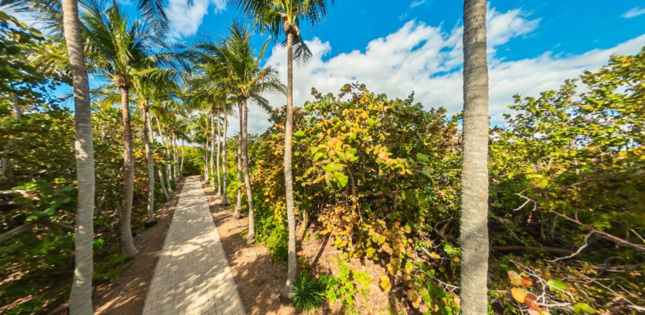 Tropical Pathway to Lighthouse