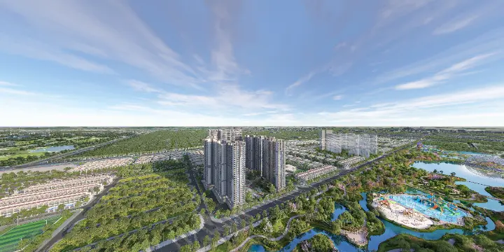 ANH 1