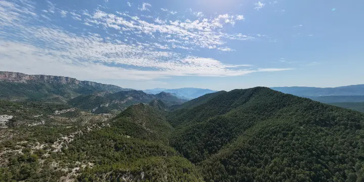 DJI_20260628112558_0043_D