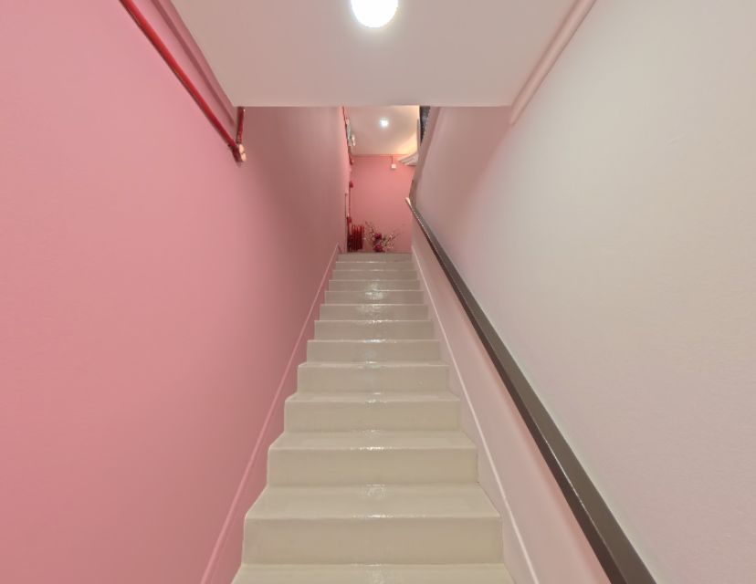 L1B - Kitnap Cat Hotel Stairway