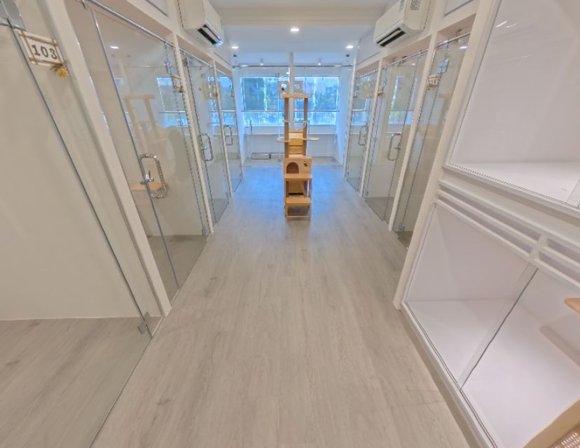 L2 - Kitnap Cat Hotel Rooms