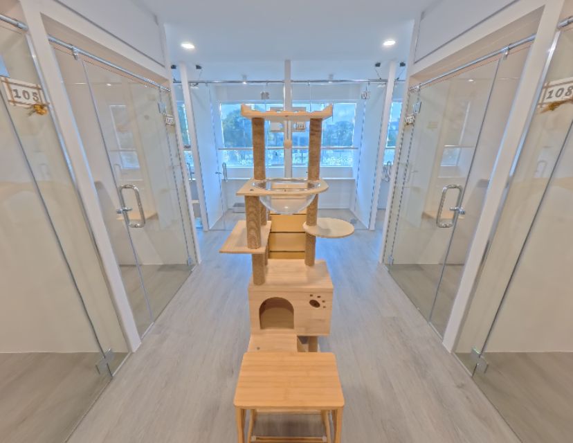 L2 - Kitnap Cat Hotel At Play Area