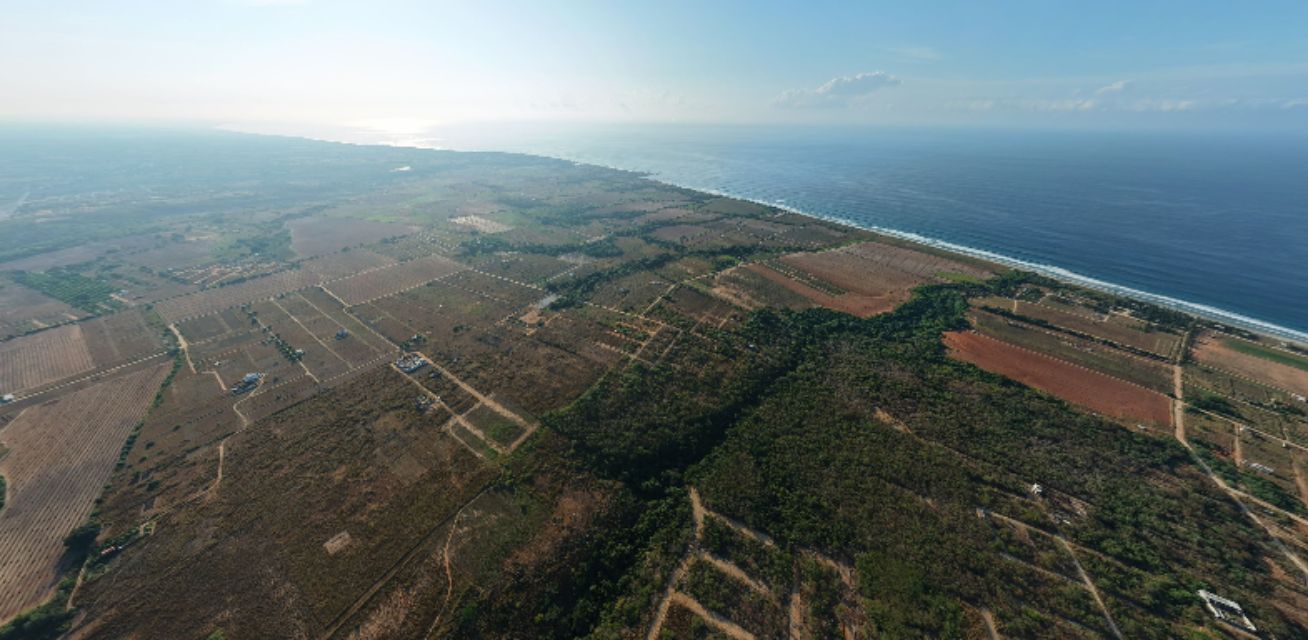 Coastal Farmland near Seaside
