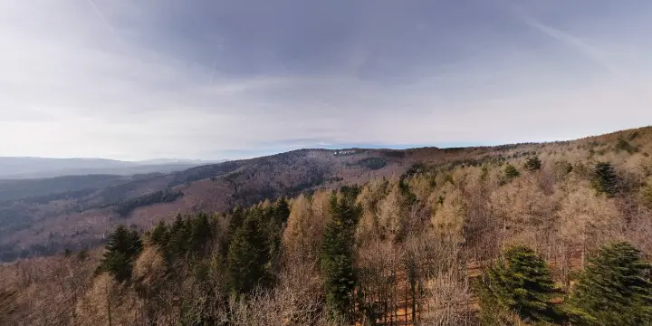 20230318 Spod Makowej Góry