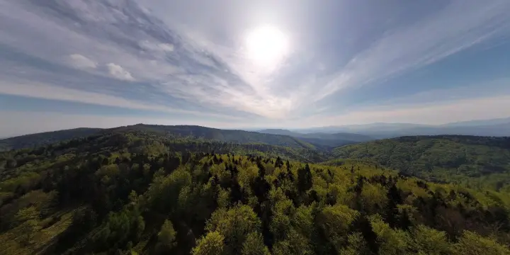 20230514 Pomiędzy przeł. Beskidek, a Potrójną