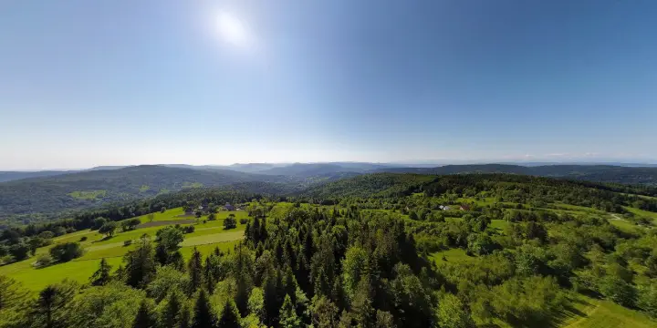 20230604 Parszywka