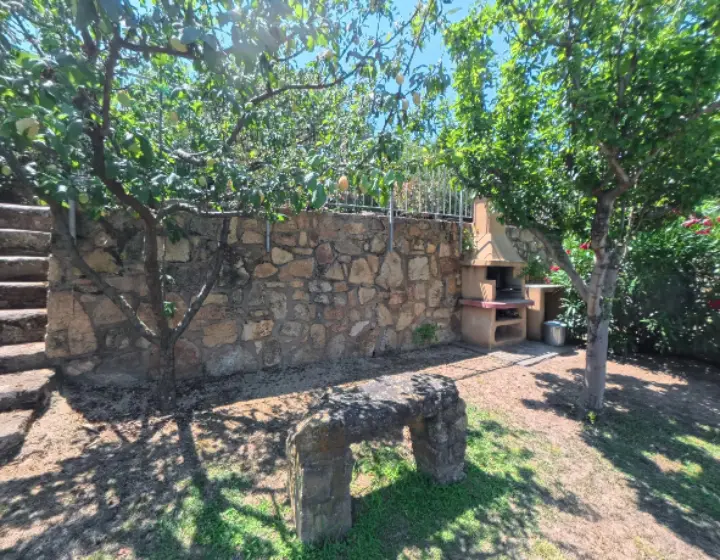 Garden with BBQ